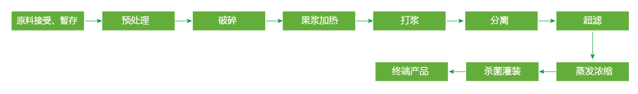 藍(lán)莓、草莓、桑葚濃縮汁